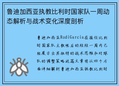 鲁迪加西亚执教比利时国家队一周动态解析与战术变化深度剖析